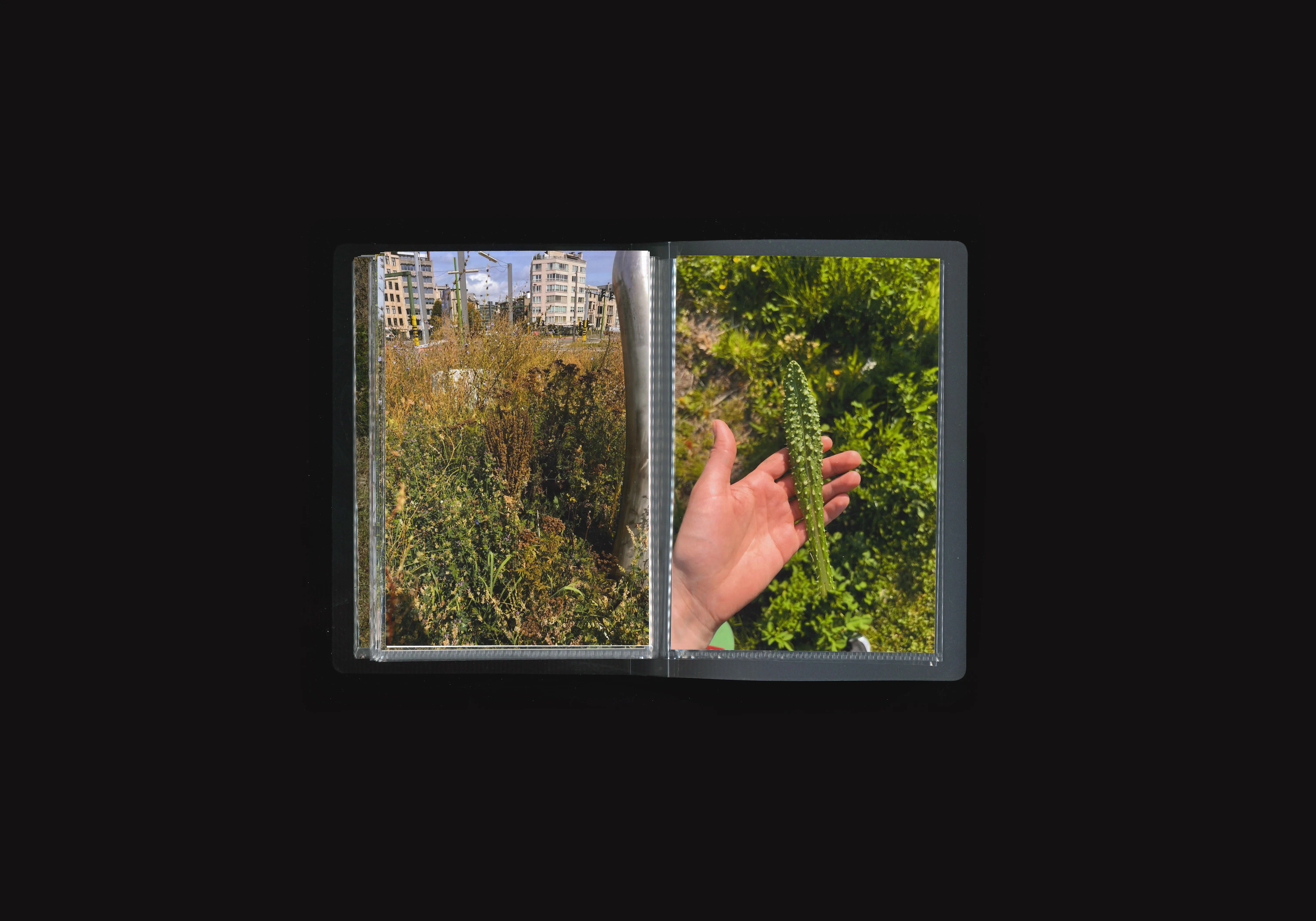 Project image